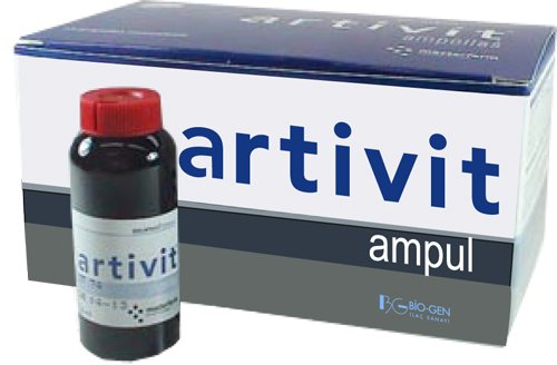 ARTIVIT AMP