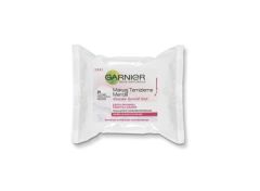 GARNIER S.N.REG.MAK.TEM.MEN.KURU 25Lİ