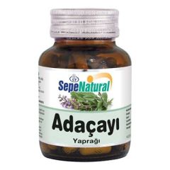 Adaçayı 90 Kapsül x 380 mg 4 Adet Fiyatı