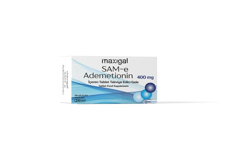 Maxıgal Ademetıonın 24 Tb