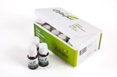 ELMA YAGI (ADACAYI) 10 ML