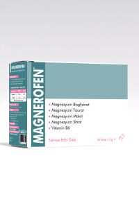 Magnerofen 30 Sase